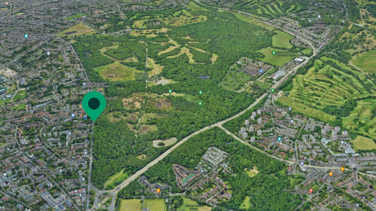 Wimbledon-and-Putney-Commons – University of Roehampton Blog